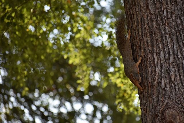 身价高低是 身价高低是